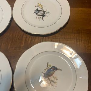 Vintage Rosina bone China